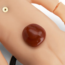 Load image into Gallery viewer, C.H.A.R.L.I.E. – Simulator de resuscitare neonatala fara simulator ECG interactiv