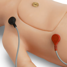 Load image into Gallery viewer, C.H.A.R.L.I.E. – Simulator de resuscitare neonatala fara simulator ECG interactiv