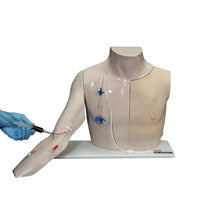 Load image into Gallery viewer, Chester Chest cu brat standard, piele deschisa
