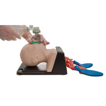 Load image into Gallery viewer, AirSim Child Bronchi X – manechin pediatric pentru gestionarea cailor respiratorii si instruire avansata in intubatie, traheostomie și bronhoscopie