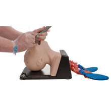Load image into Gallery viewer, AirSim Child Bronchi X – manechin pediatric pentru gestionarea cailor respiratorii si instruire avansata in intubatie, traheostomie și bronhoscopie