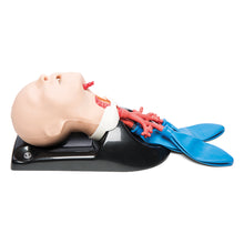 Load image into Gallery viewer, AirSim Child Combo Bronchi X – manechin pediatric „all-in-one” pentru gestionarea cailor respiratorii, intubatie, traheostomie și bronhoscopie