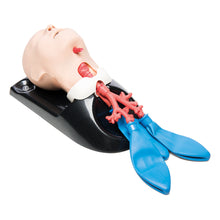 Load image into Gallery viewer, AirSim Child Combo Bronchi X – manechin pediatric „all-in-one” pentru gestionarea cailor respiratorii, intubatie, traheostomie și bronhoscopie