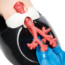Load image into Gallery viewer, AirSim Child Combo Bronchi X – manechin pediatric „all-in-one” pentru gestionarea cailor respiratorii, intubatie, traheostomie și bronhoscopie