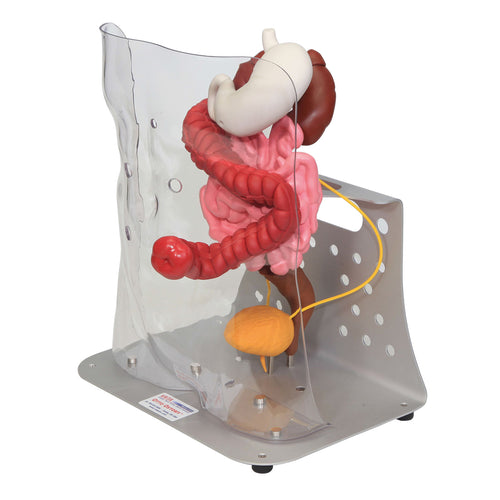 Model avansat Otto Ostomy™