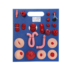 Model avansat Otto Ostomy™
