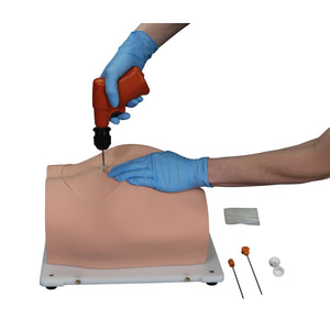 Simulator Bonnie Bone Marrow Biopsie