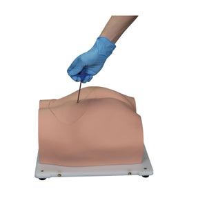 Simulator Bonnie Bone Marrow Biopsie