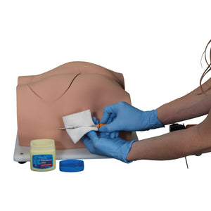 Simulator Bonnie Bone Marrow Biopsie