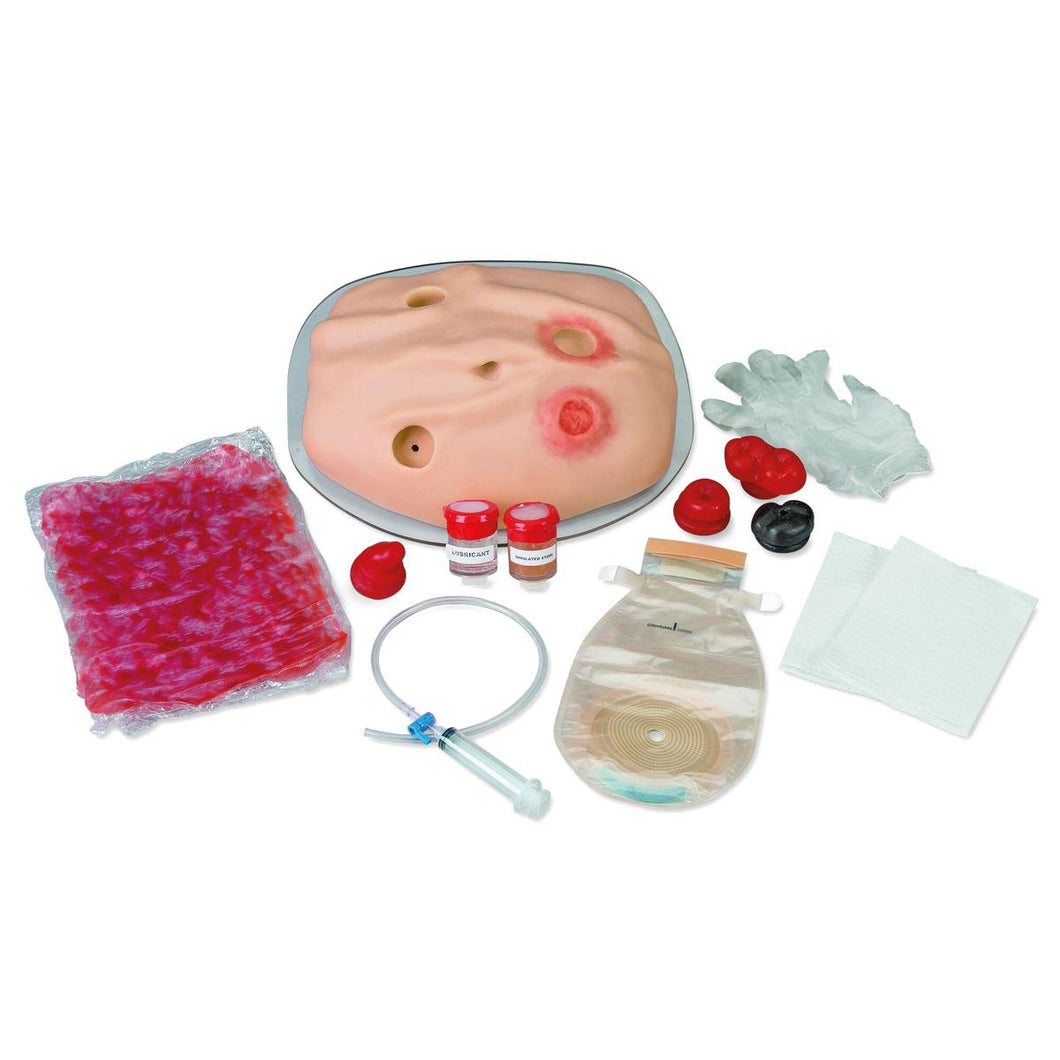 Model de instruire complet Life/form® pentru ingrijirea stomelor