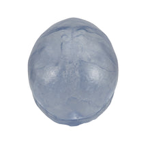 Load image into Gallery viewer, Model clasic transparent de craniu uman, 3 parti