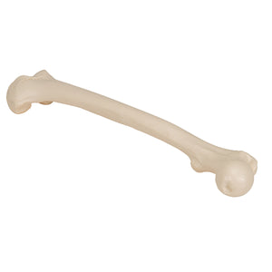 Model femur uman - 3B Smart Anatomy