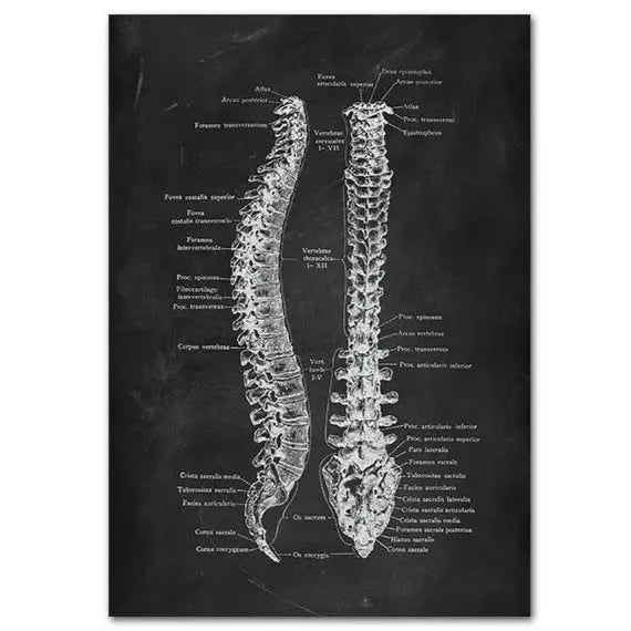 Poster ART Spine