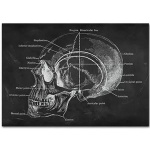 Poster ART Skull