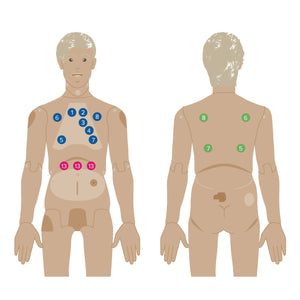 Manechin avansat de asistenţă medicală cu funcţii de auscultaţie Nikki