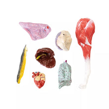 Load image into Gallery viewer, Model de caine (Ciobanesc german), 11 piese, marime 2/3 din dimensiunea reala