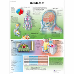 Poster " Durerea de cap" 3bScientific