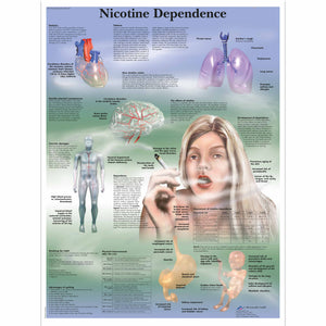 Poster  ” Dependenţa de nicotină” 3B Scientific