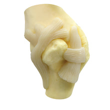 Load image into Gallery viewer, Model de umar canin