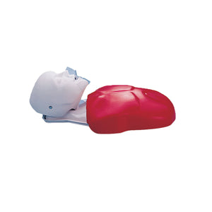 Tors uman Basic Buddy™ CPR