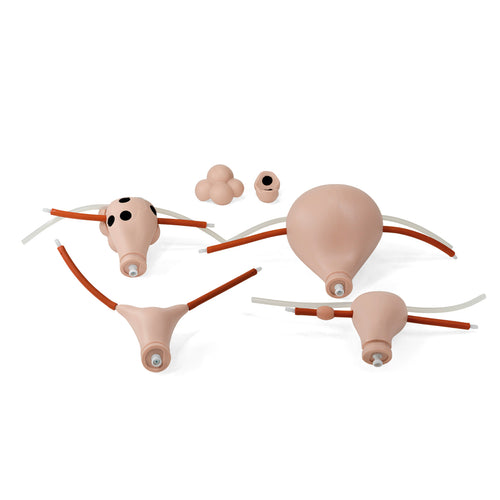 Set uterin