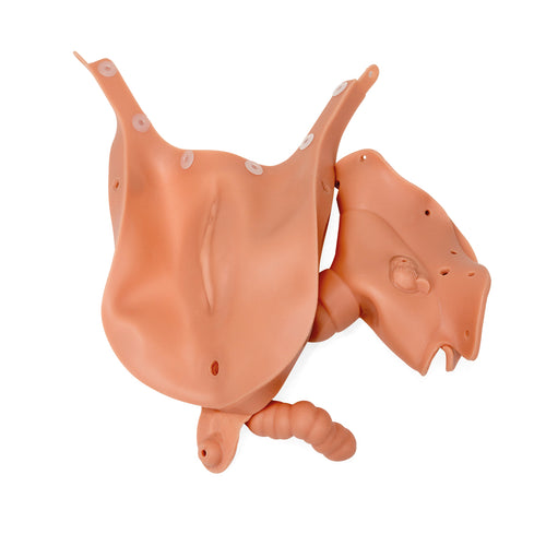 Insertie vaginala