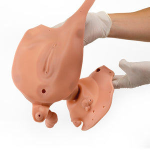 Insertie vaginala