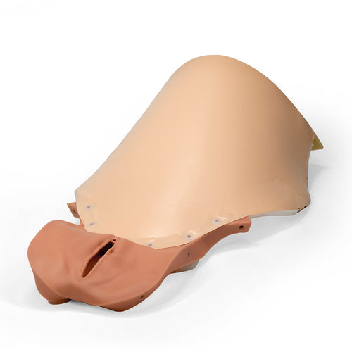 Vagin și acoperitoare abdominala pentru PPH Trainer P97