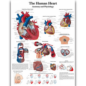 Poster "Inima"