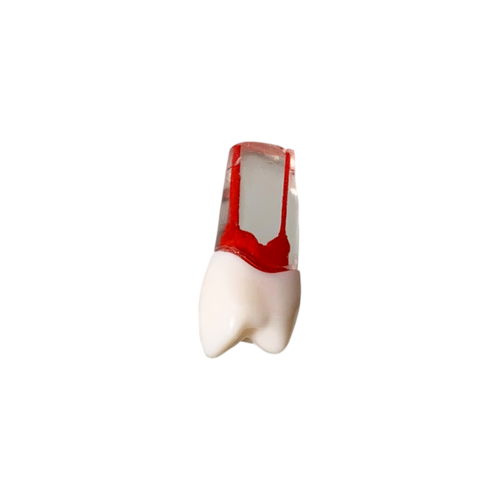 Endobloc 14 -  compatibil cu modelul cu dinţi detaşabili cu şurub 8011