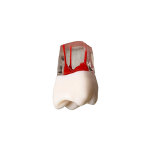 Load image into Gallery viewer, Endobloc 16 -  compatibil cu modelul cu dinţi detaşabili cu şurub 8011