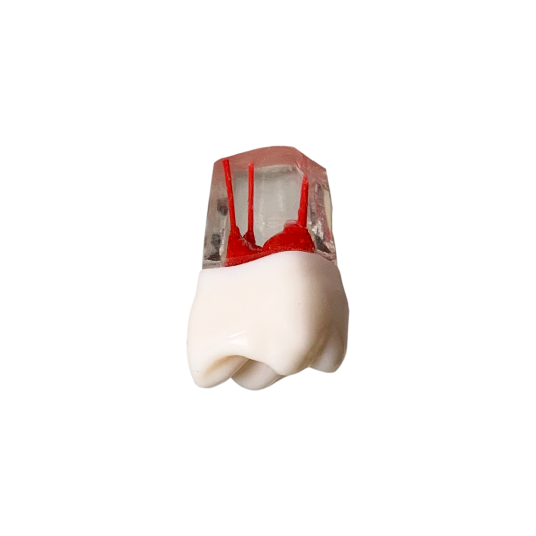 Endobloc 16 -  compatibil cu modelul cu dinţi detaşabili cu şurub 8011