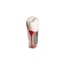Load image into Gallery viewer, Endobloc 35 -  compatibil cu modelul cu dinţi detaşabili cu şurub 8011