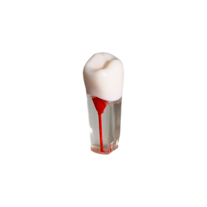 Endobloc 35 -  compatibil cu modelul cu dinţi detaşabili cu şurub 8011