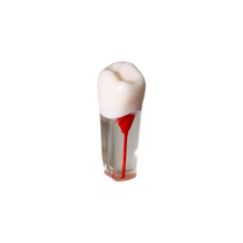 Load image into Gallery viewer, Endobloc 45 -  compatibil cu modelul cu dinţi detaşabili cu şurub 8011