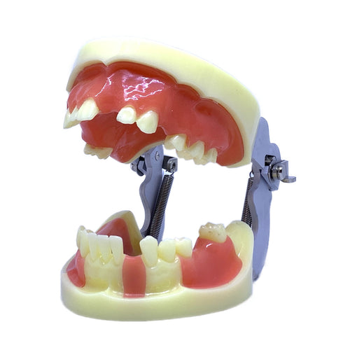 Model pentru practica inserării de implanturi dentare