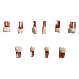 Endobloc 36 -  compatibil cu modelul cu dinţi detaşabili cu şurub 8011
