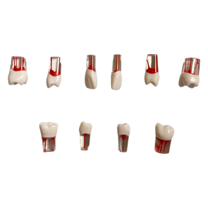 Endobloc 46 -  compatibil cu modelul cu dinţi detaşabili cu şurub 8011
