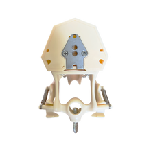 Load image into Gallery viewer, Model tip FRASACO cu dinţi detaşabili cu şurub şi gingie fixă moale