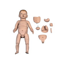 Load image into Gallery viewer, Manechin de nou-născut pentru pregătirea asistentelor - 3B Smart Anatomy