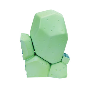 Model de celule vegetale