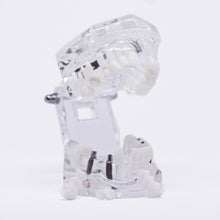 Load image into Gallery viewer, Model transparent cu implanturi, restauraţii şi patologii dentare