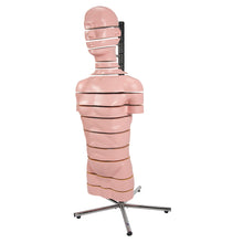 Load image into Gallery viewer, Model de trunchi RMN cu 15 secţiuni transversale - 3B Smart Anatomy