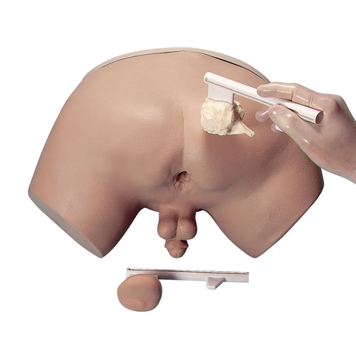 Simulator de examinare a prostatei