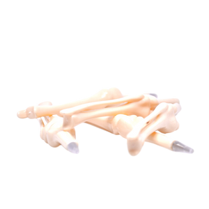 Pix în formă de os - femur, tibie, peroneu